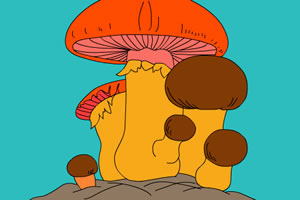 彩图蘑菇