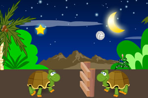 小乌龟玩排球