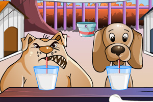狗狗喝水比赛