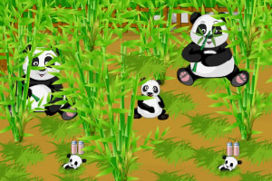野生熊猫农场